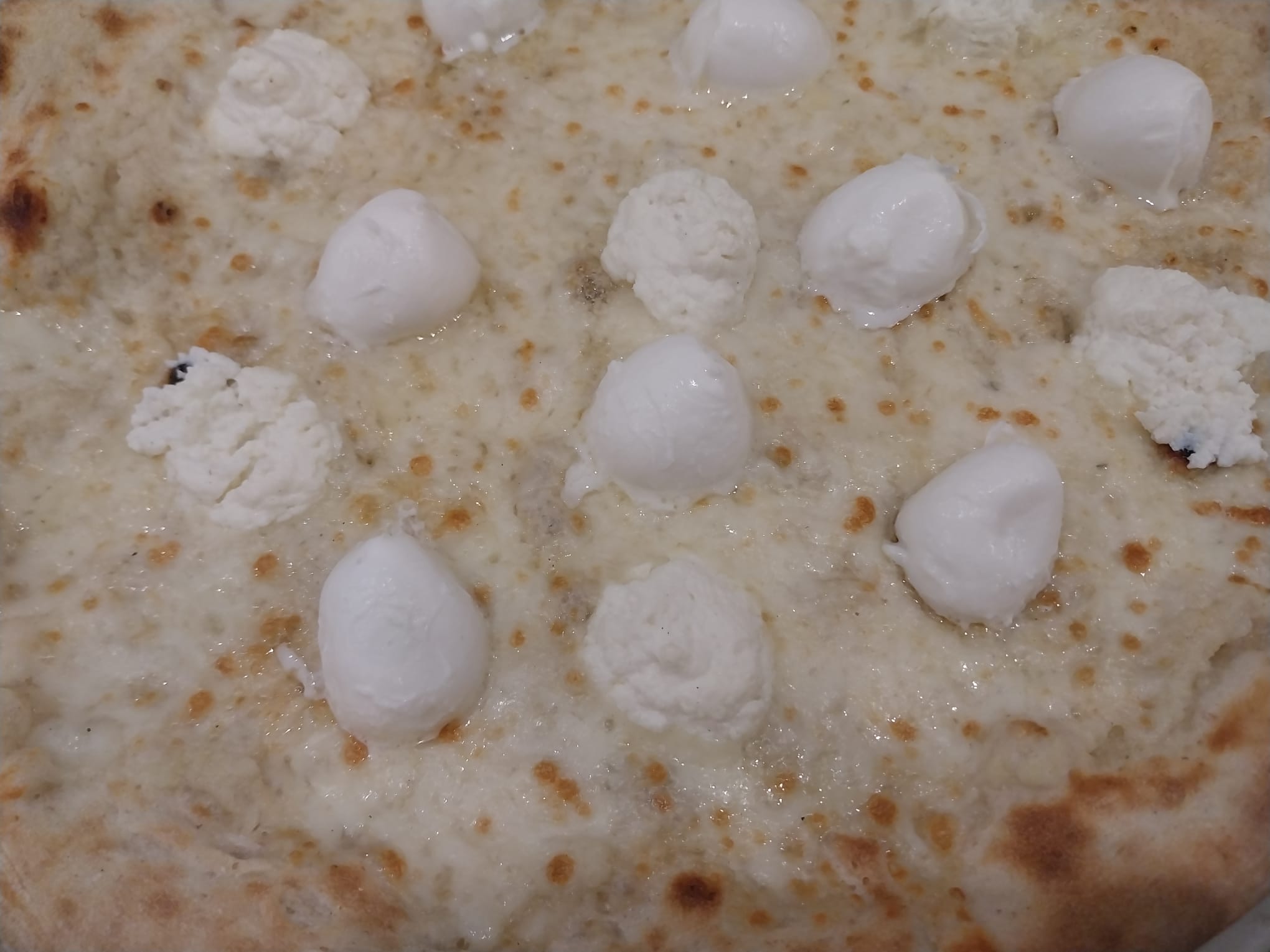 Immagine non disponibile