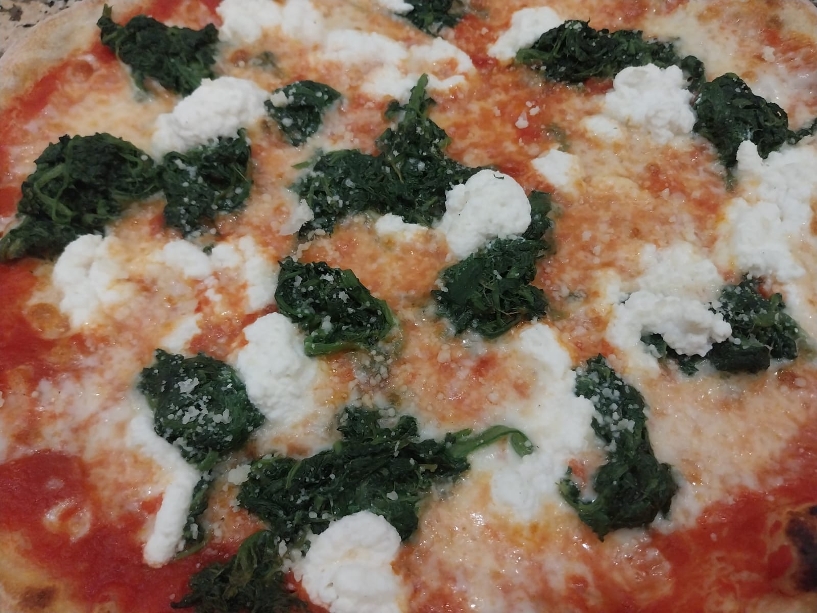 Immagine non disponibile 