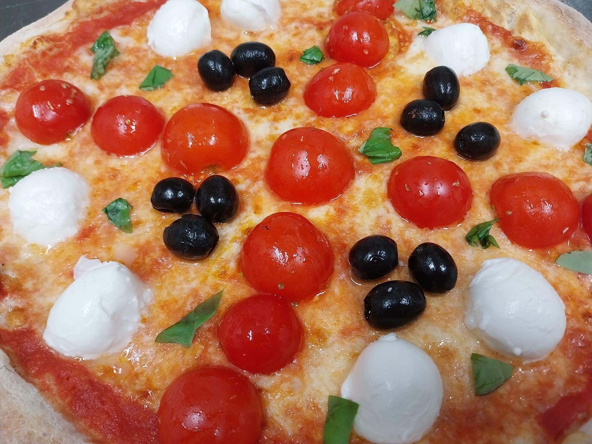 Immagine non disponibile